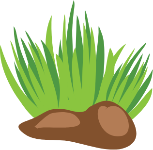 grass_png